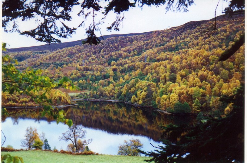 ../Images/Autumn, Loch Tummel.jpg